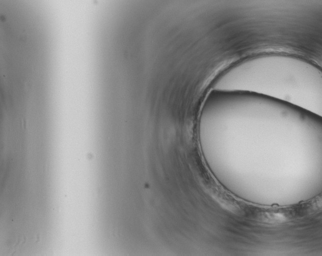 X0000066520159200603170959