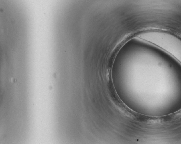 X0000066520160200603170959