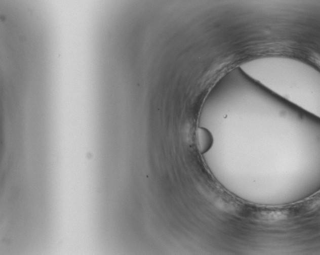 X0000066520161200603170959