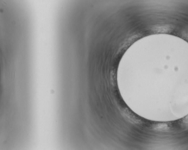 X0000066520162200603170959