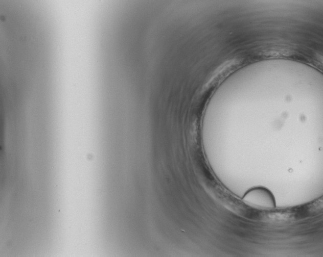 X0000066520163200603170959