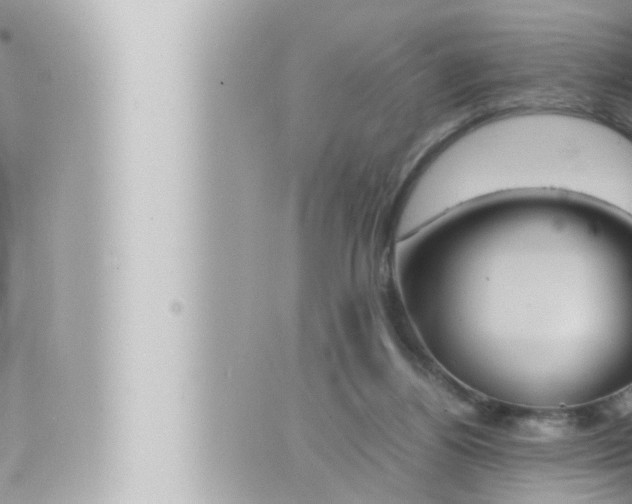 X0000066520164200603170959