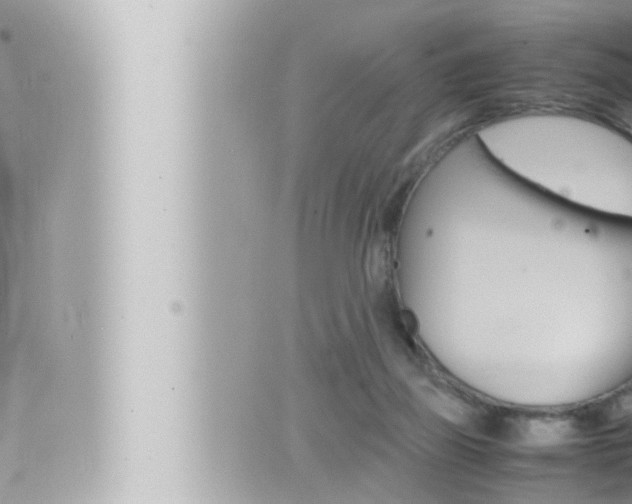 X0000066520165200603170959