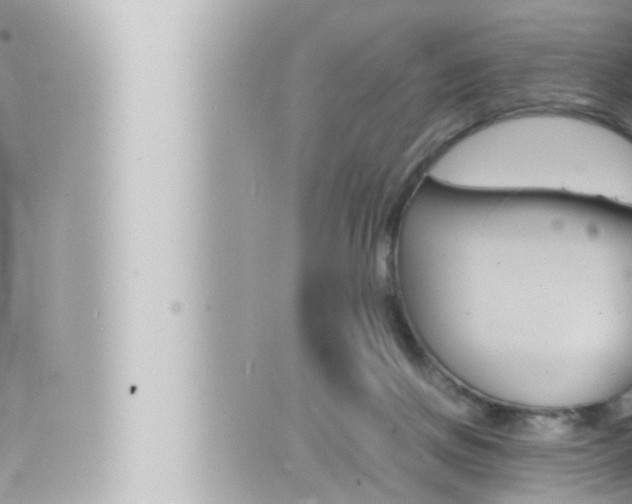 X0000066520166200603170959