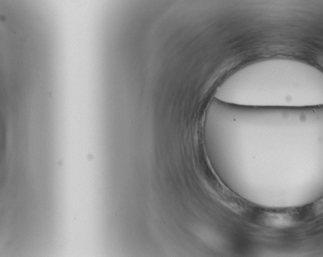 X0000066520167200603170959