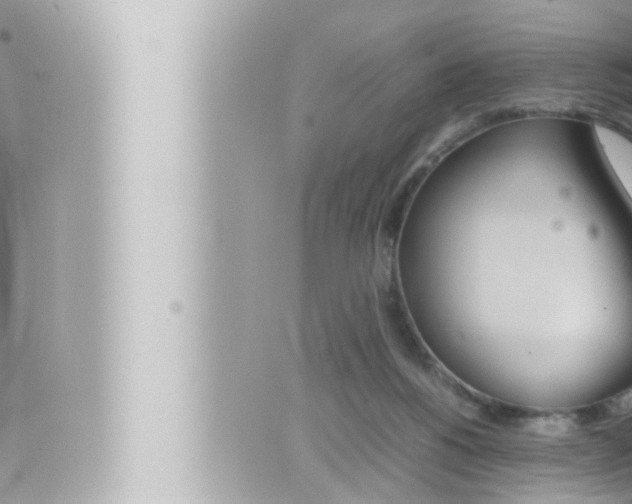 X0000066520168200603170959