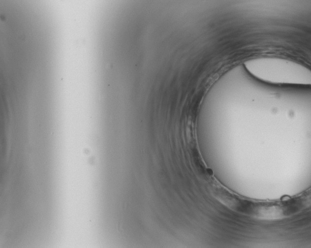 X0000066520169200603170959