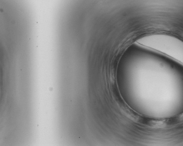 X0000066520170200603170959