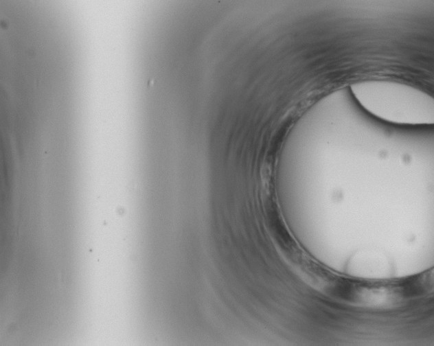 X0000066520171200603170959