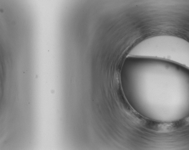 X0000066520172200603170959