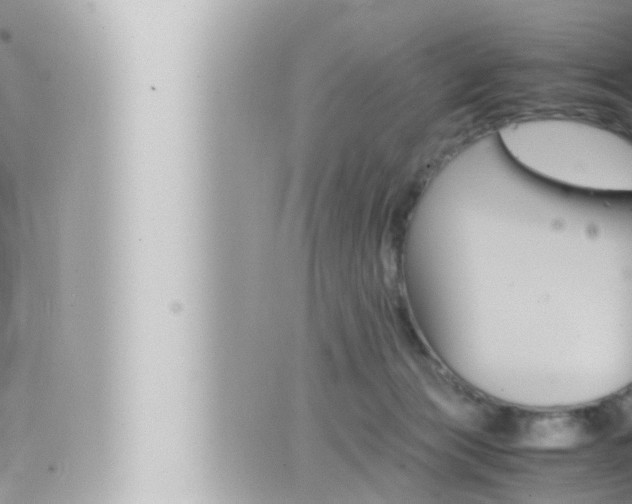 X0000066520173200603170959