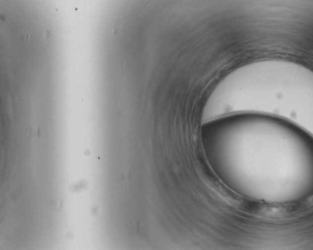 X0000066520174200603170959