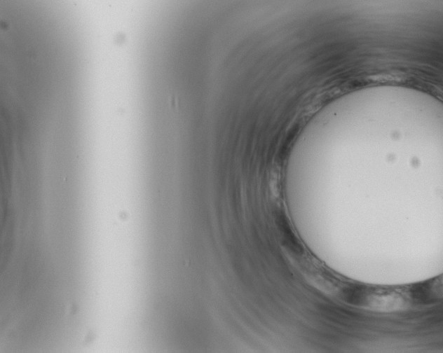 X0000066520175200603170959