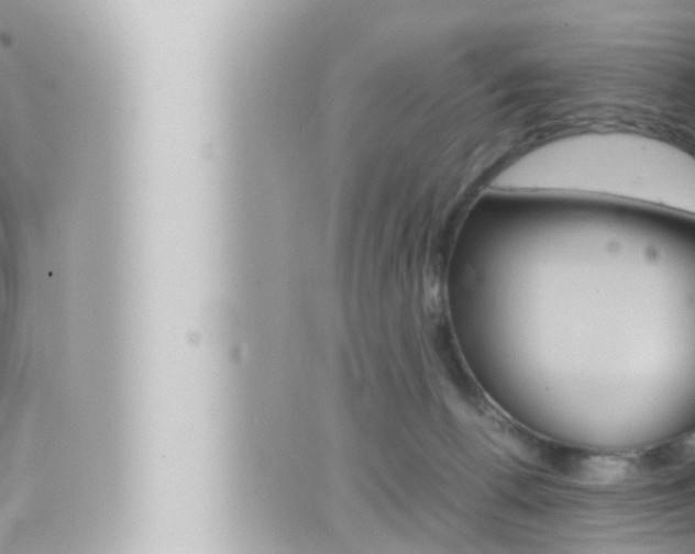 X0000066520176200603170959