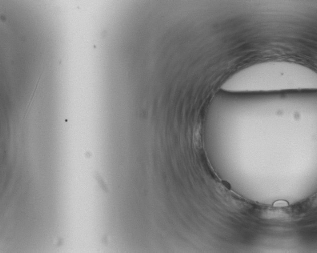 X0000066520177200603170959