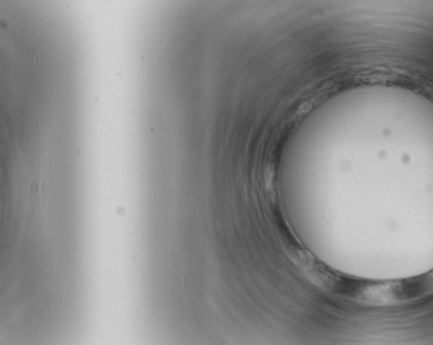 X0000066520178200603170959