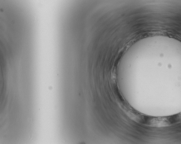 X0000066520179200603170959