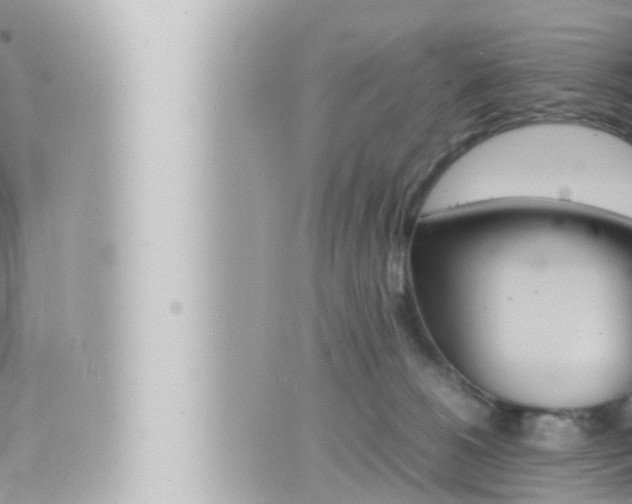 X0000066520180200603170959