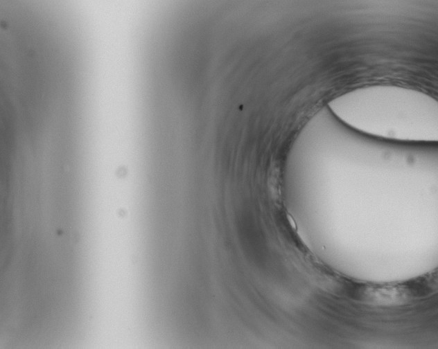 X0000066520181200603170959