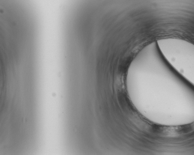 X0000066520182200603170959