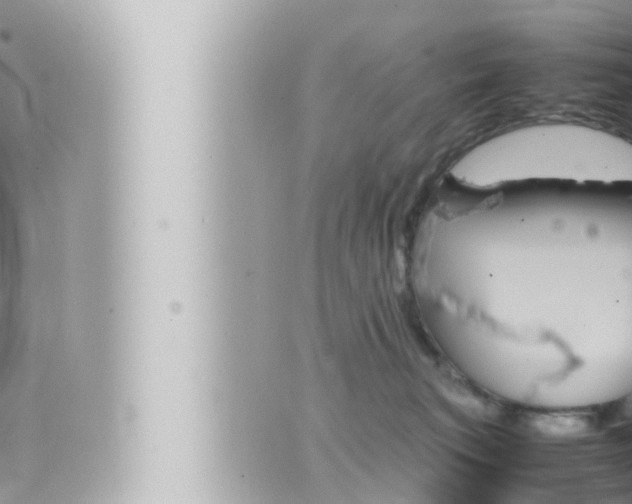 X0000066520183200603170959