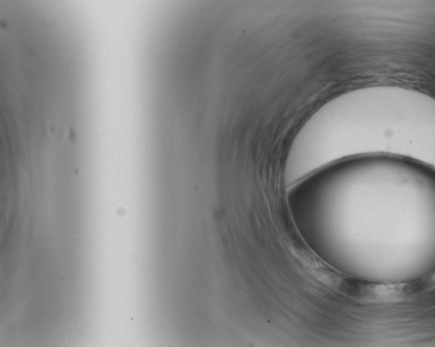 X0000066520184200603170959