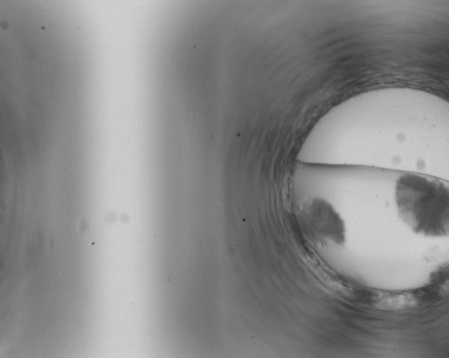 X0000066520185200603170959