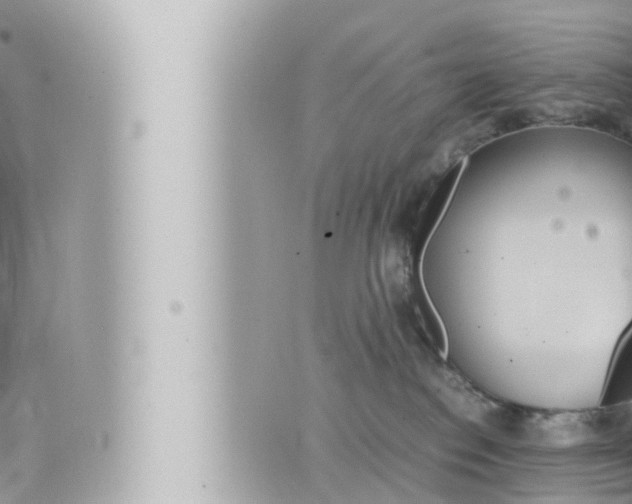 X0000066520186200603170959