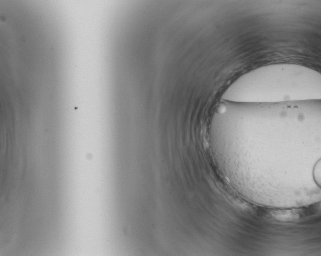 X0000066520187200603170959