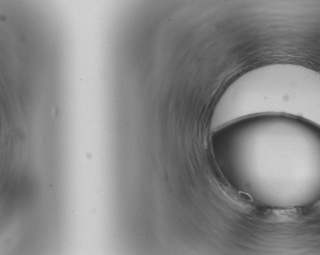 X0000066520188200603170959