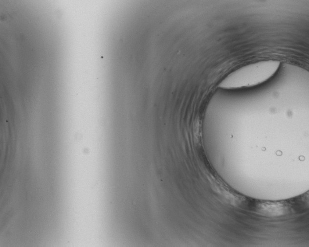 X0000066520189200603170959