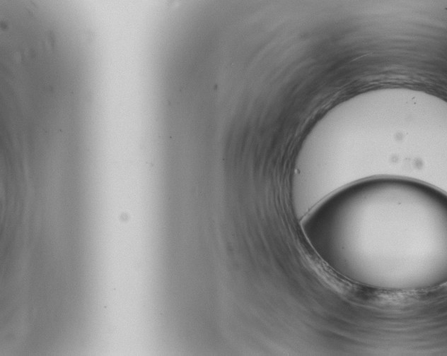 X0000066520190200603170959