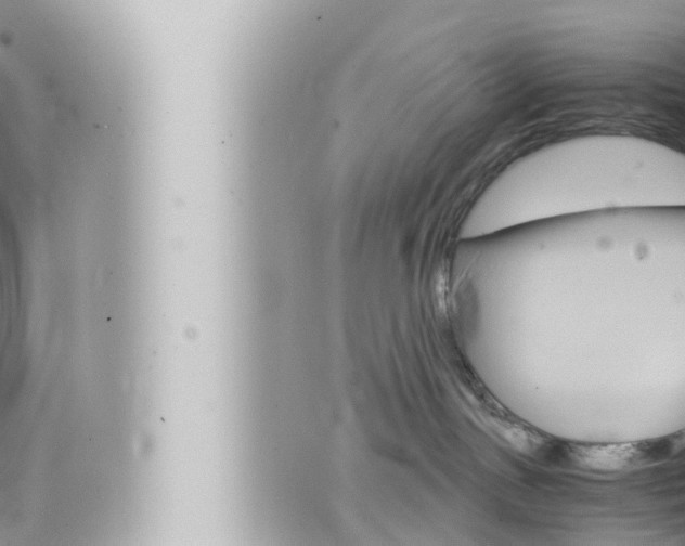 X0000066520191200603170959