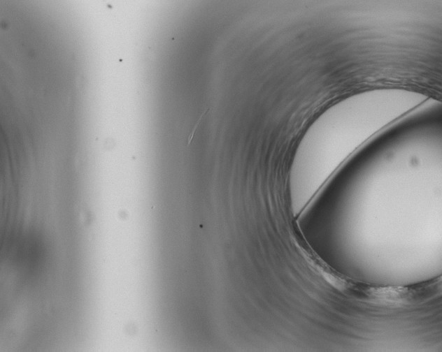 X0000066520192200603170959