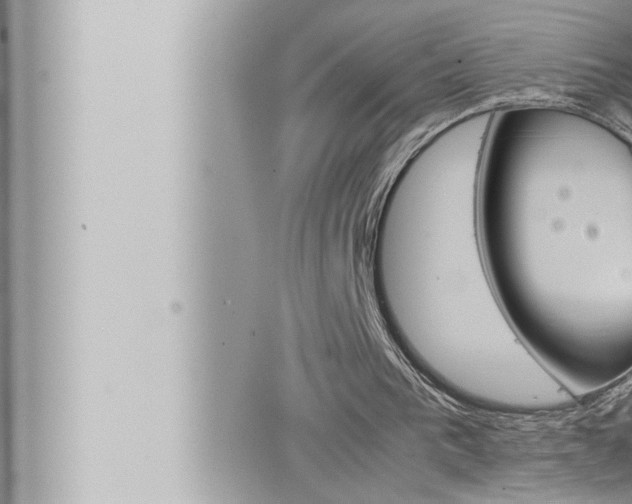 X0000066520193200603170959