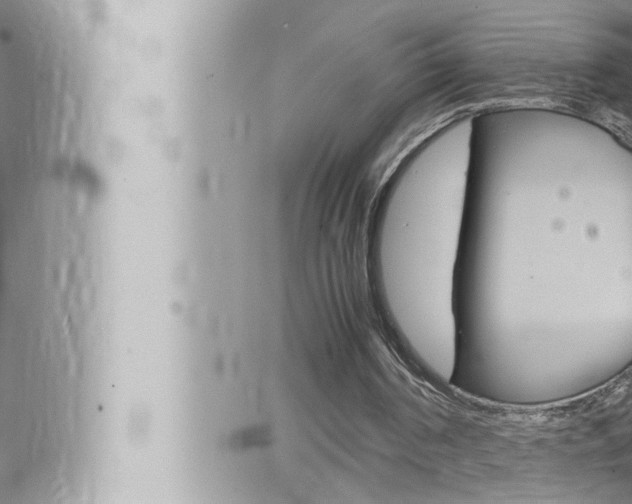 X0000066520194200603170958