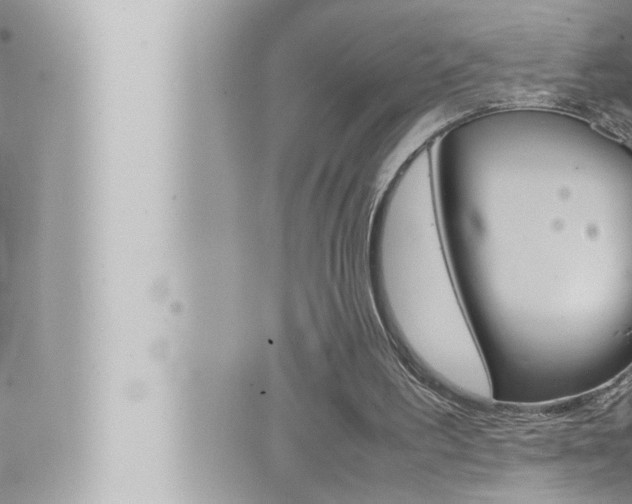 X0000066520195200603170958