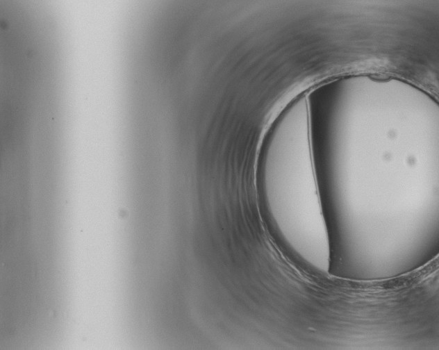 X0000066520196200603170958