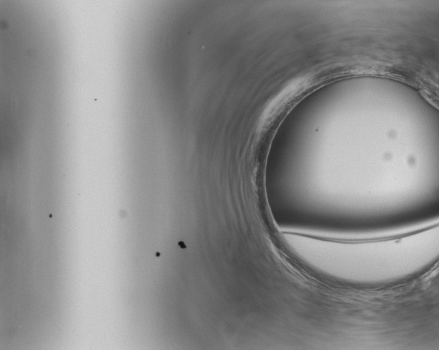 X0000066520197200603170958