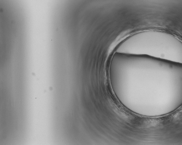 X0000066520198200603170958