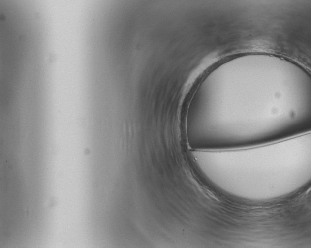 X0000066520200200603170958