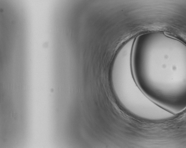 X0000066520201200603170958