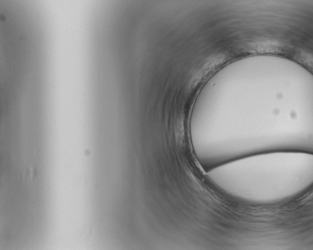 X0000066520202200603170958