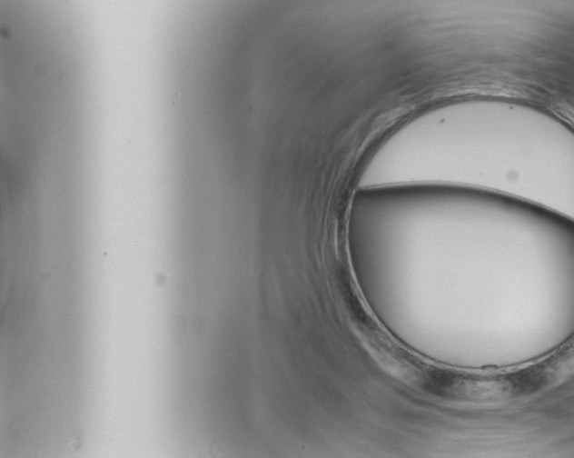 X0000066520205200603170958