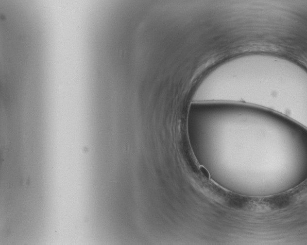 X0000066520207200603170958