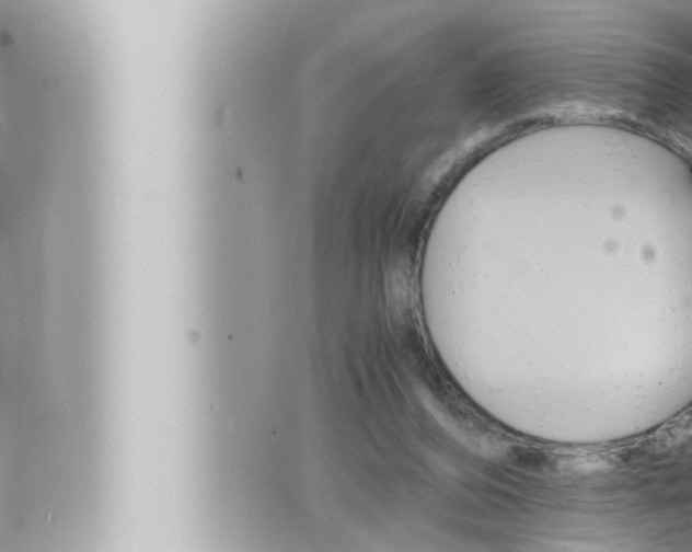 X0000066520208200603170958