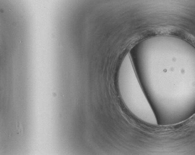 X0000066520209200603170958