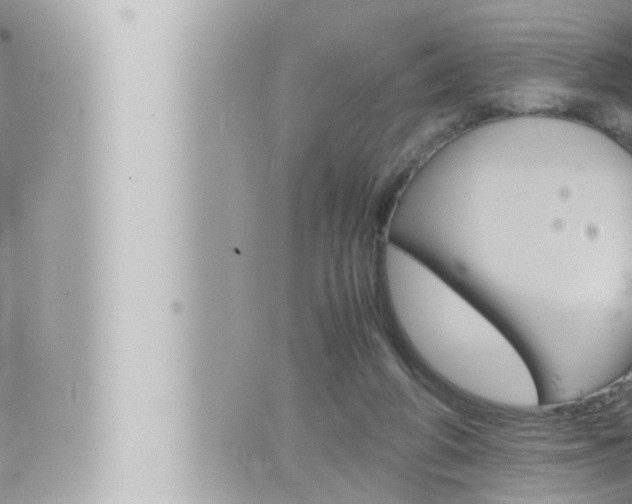 X0000066520210200603170958