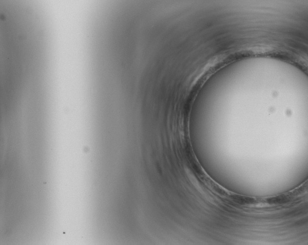 X0000066520212200603170958