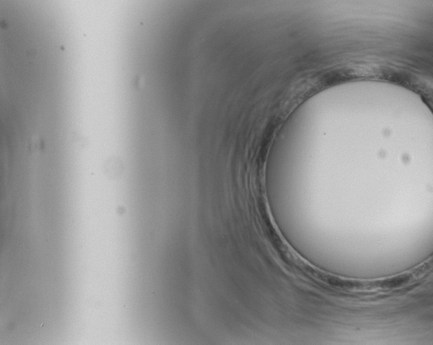 X0000066520213200603170958